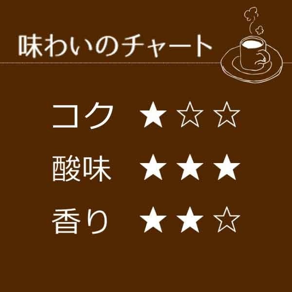 ドリップコーヒー　モカ100袋｜送料無料｜1杯10g