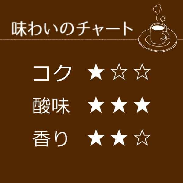 レギュラーコーヒー プレミアムブレンド500g【広島発☆コーヒー通販カフェ工房】