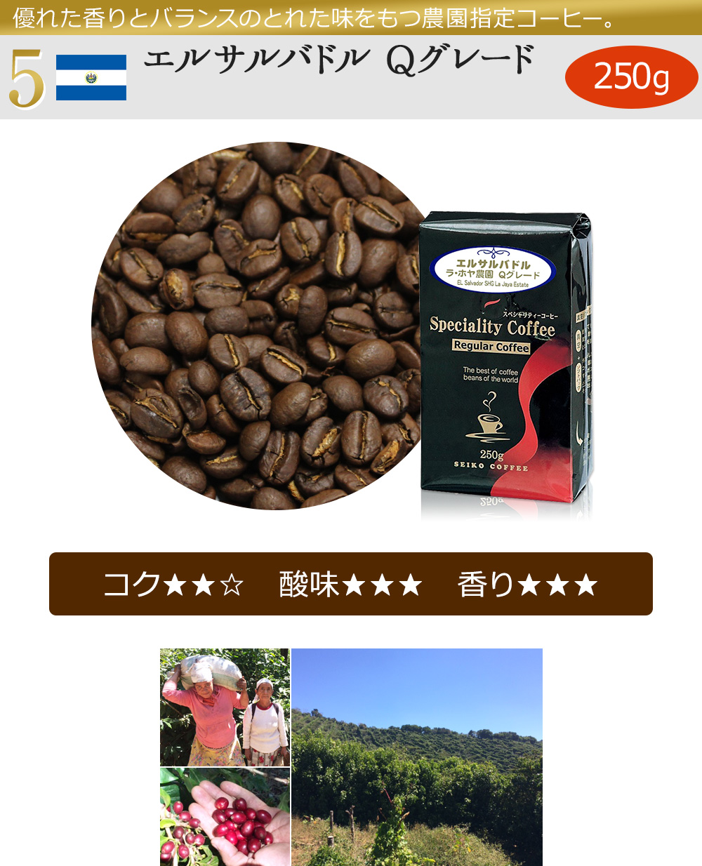 送料無料【福袋】カフェ工房のQグレード5種セット（レギュラーコーヒー